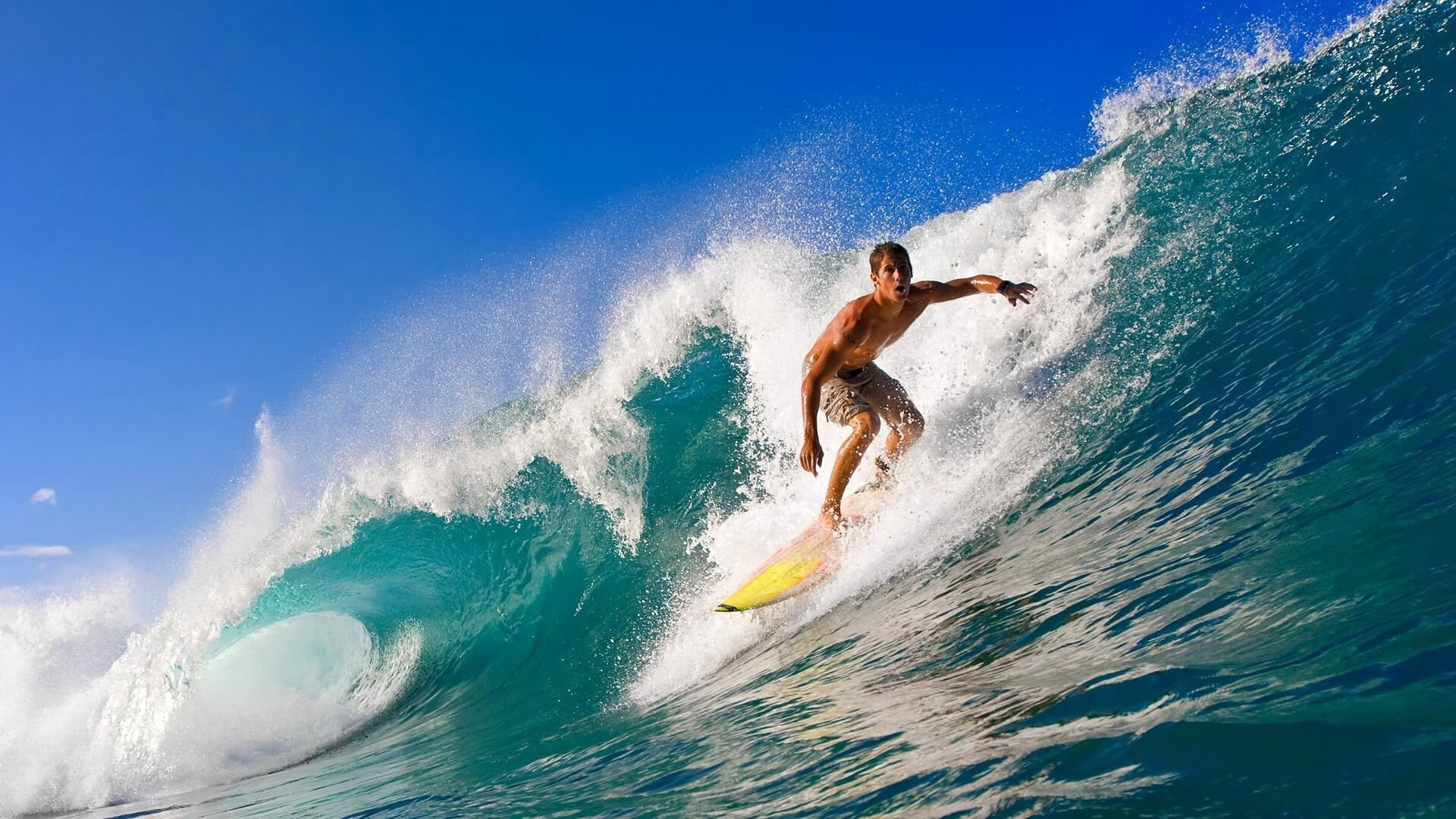 _极地冰原漂流：冰雪中的生存与速度_，极地冰原气候百科